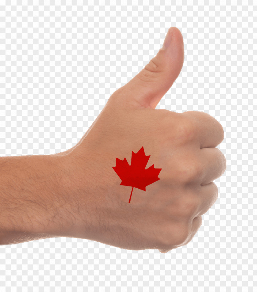 Hand Thumb Signal Gesture Business PNG
