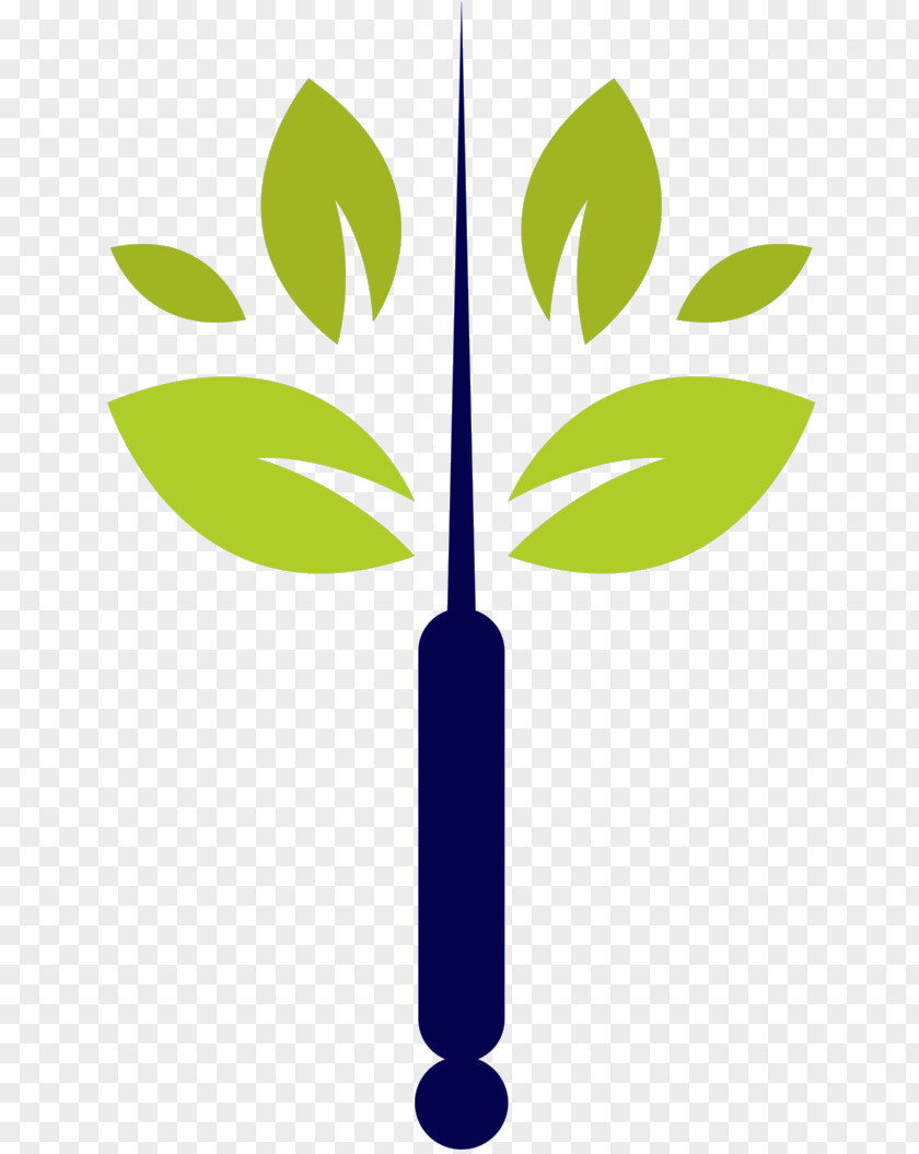 Leaf Clip Art Plant Stem Product Design Line PNG