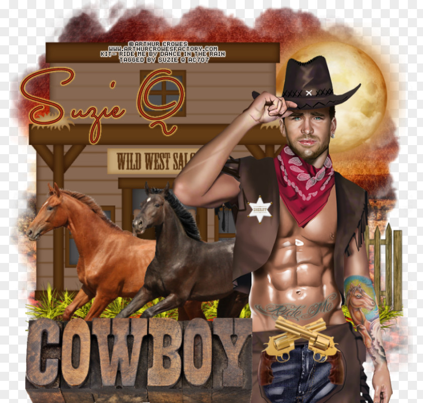 Mustang Cowboy Western Riding Horse Tack Llanero PNG