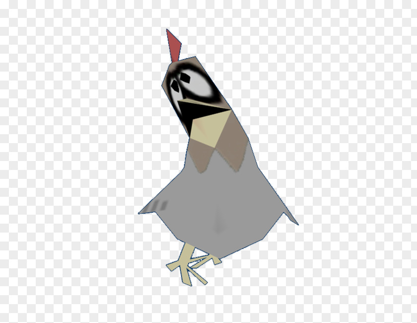 Penguin Galliformes Fauna Beak Animated Cartoon PNG