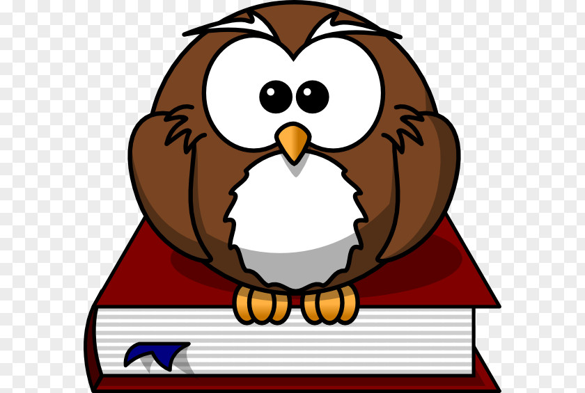 Pictures Of Animated Cartoons Owl Cartoon Drawing Clip Art PNG