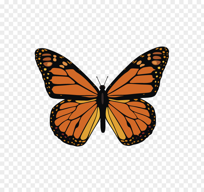 Sandy Hook Shooting The Monarch Butterfly Clip Art Vector Graphics PNG