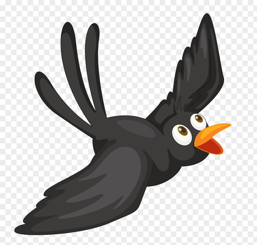 Black Crow Bird Crows Cartoon Clip Art PNG