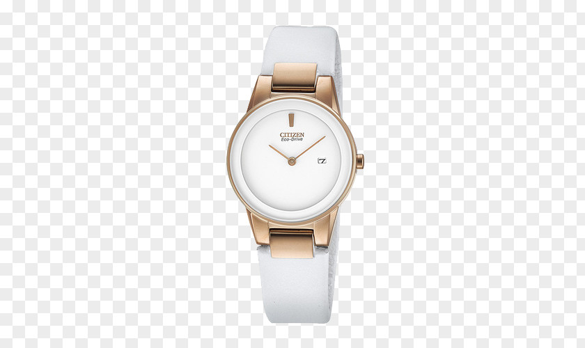 Citizen Eco-Drive Ladies Watch Strap Holdings PNG
