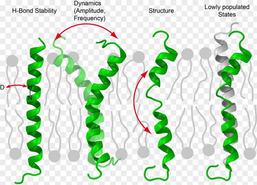 Line Human Behavior Point PNG