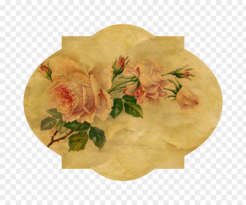 Rose Vintage Clothing Garden Roses Flower PNG