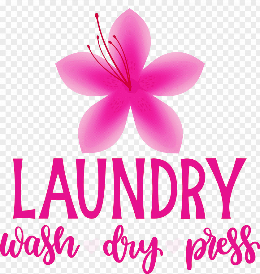 Laundry Wash Dry PNG