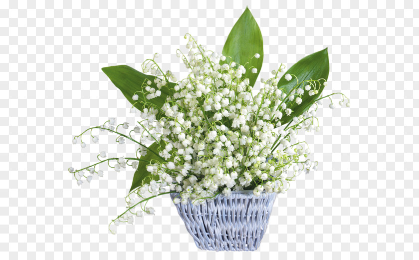 Lily Of The Valley Flower Desktop Wallpaper France 1 May PNG