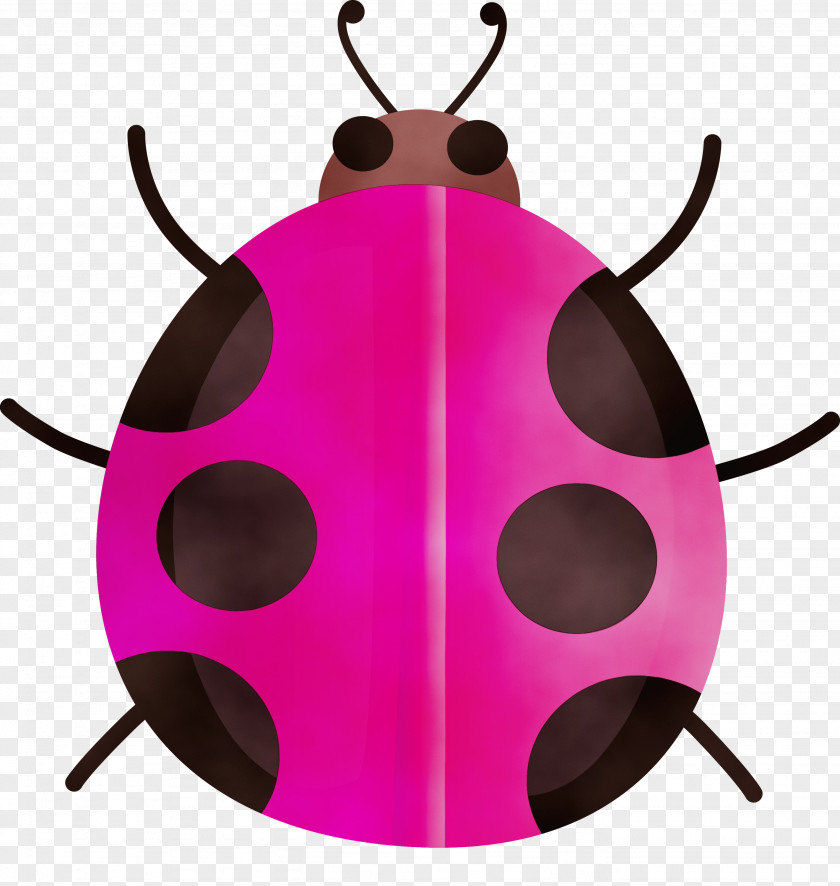 Pink Insect Magenta Beetle Pest PNG
