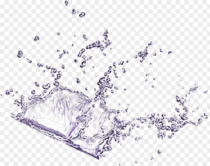 A Spray Of Water Free Pictures Material Download PNG