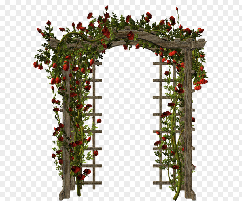 Arbor Download Clip Art PNG