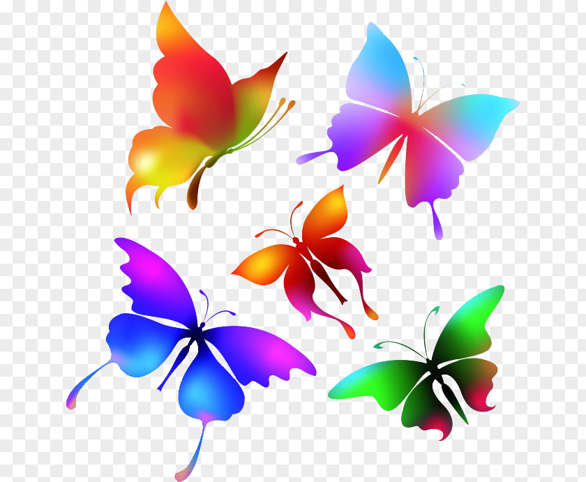 Butterfly Color Royalty-free Clip Art PNG