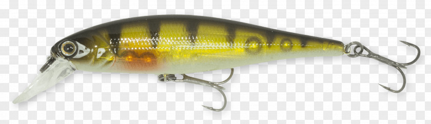 Hunting Yellow Perch Fishing Baits & Lures Information PNG