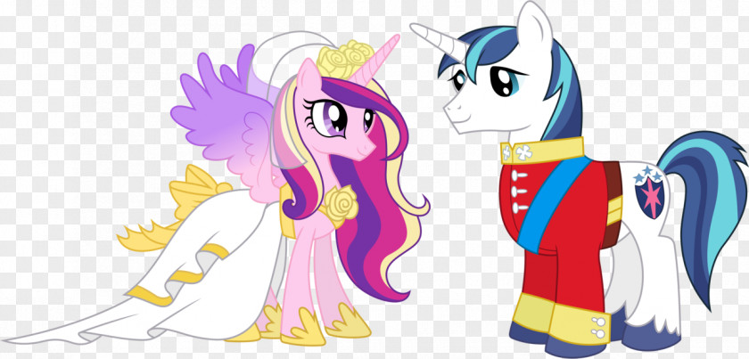 My Wedding Princess Cadance YouTube Rainbow Dash Luna PNG