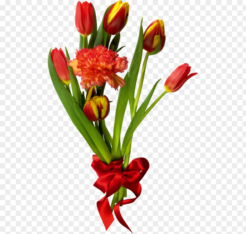 Red Tulips Tulip Mania Flower Bouquet PNG