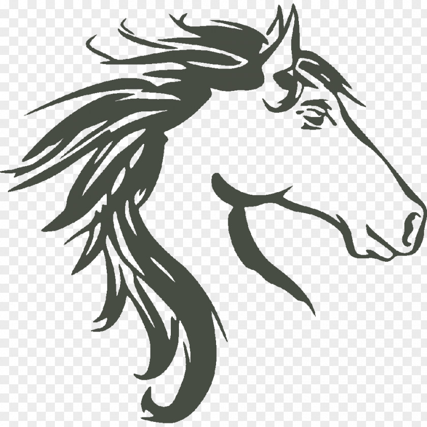 Appaloosa Horse Head Royalty-free Stock Photography Vector Graphics Image PNG