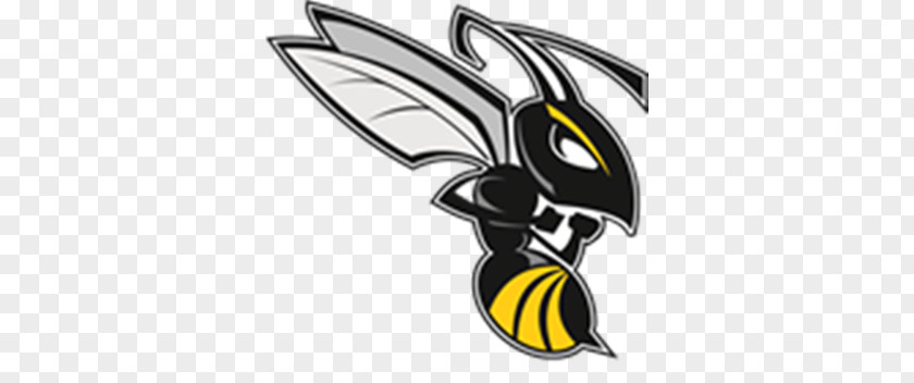 Bee Charlotte Hornets Wasp Clip Art PNG