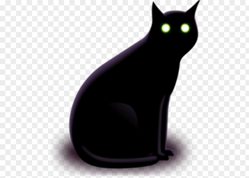 Black Cat Pet PNG