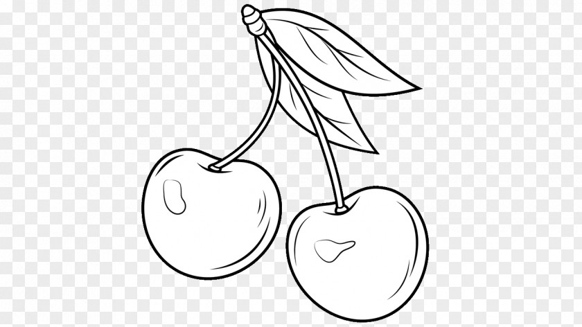 Cashew Fruit /m/02csf Drawing Line Art Clip PNG