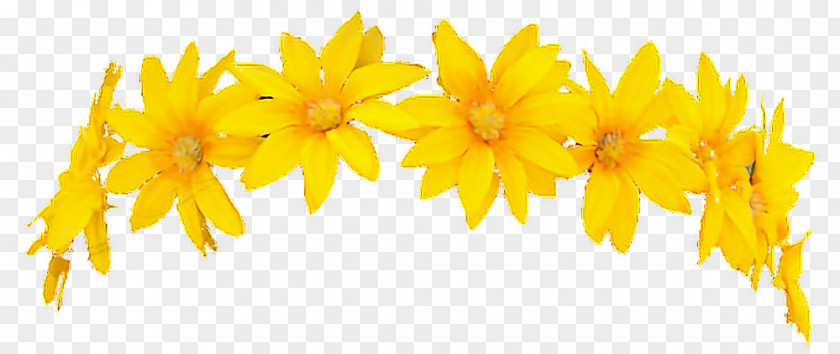 Crown Wreath Yellow Flower PNG