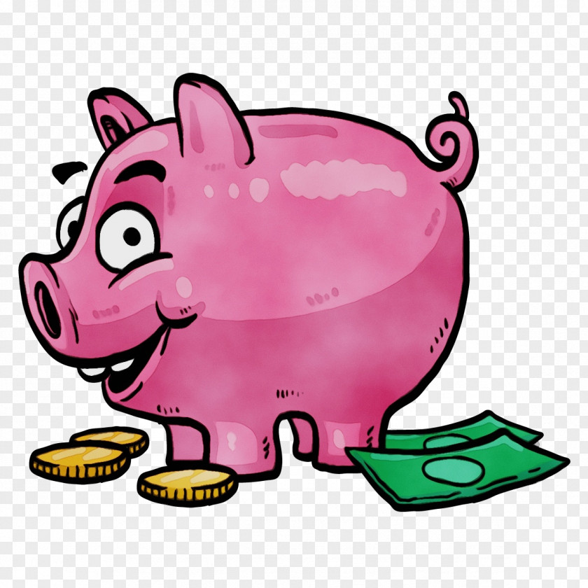 Money Handling Domestic Pig Piggy Bank PNG