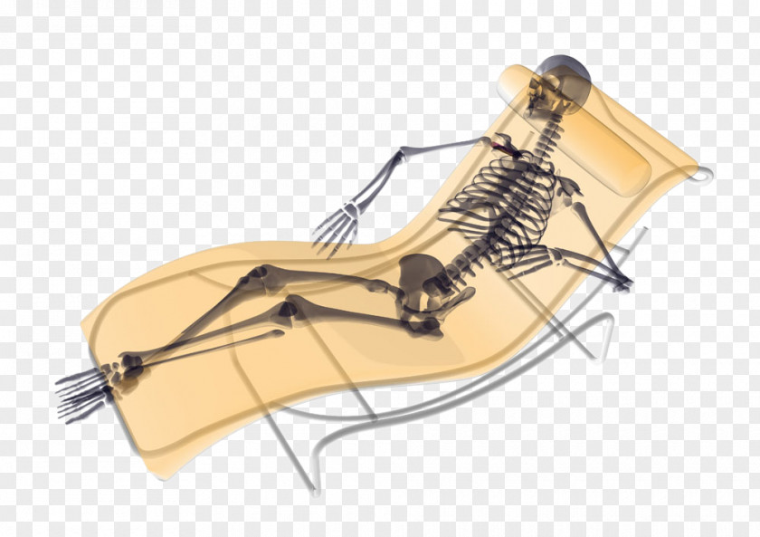 Folding Chair Skeleton Lying In Bed Human U9ab7u9ac5 Photography PNG