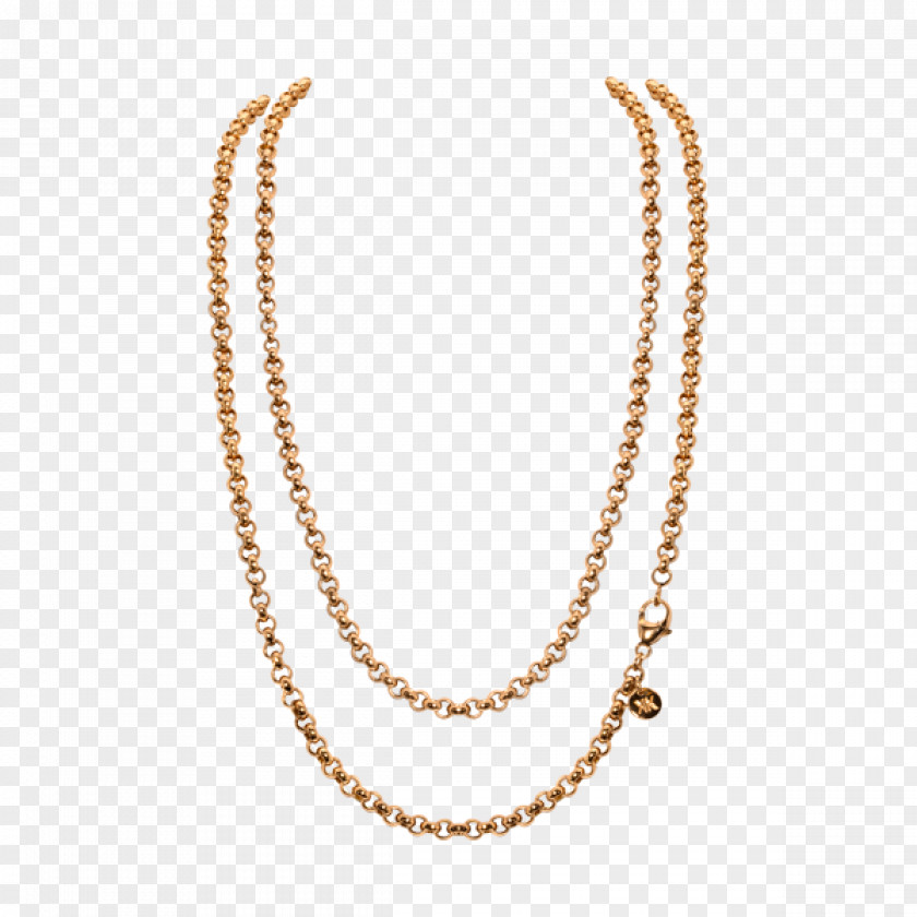 Jewellery Chain Pic Pendant Necklace PNG
