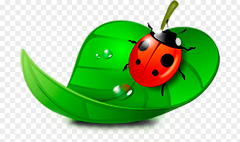Ladybug Ladybird Drawing Blog Clip Art PNG