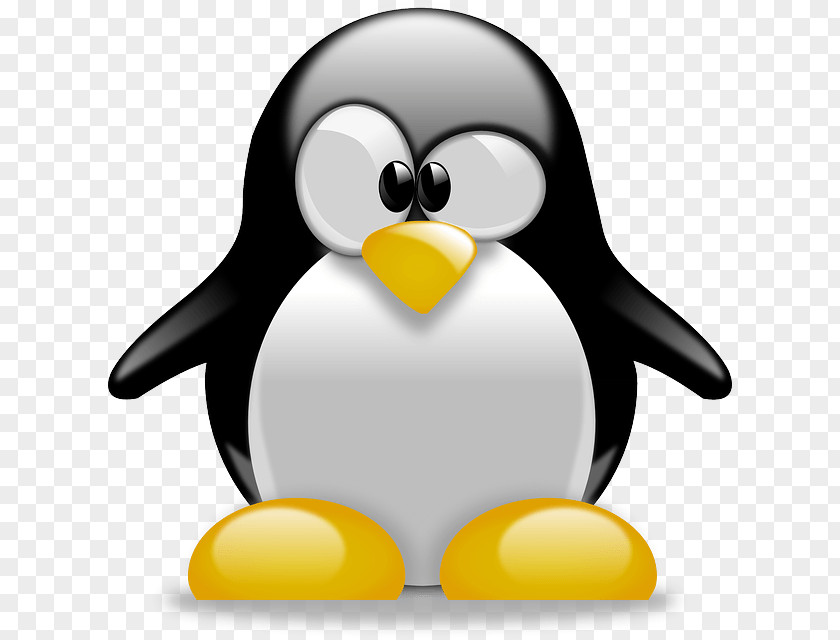 Linux Logo Penguin Cartoon Clip Art PNG