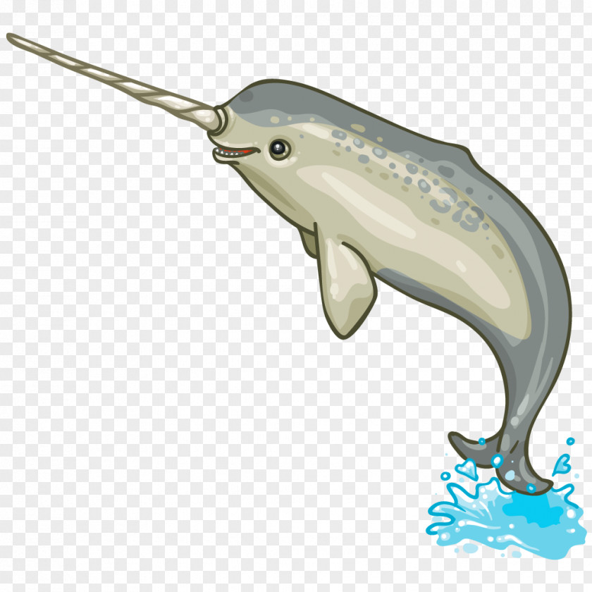 Narwhal Porpoise Dolphin Marine Mammal Cetacea PNG