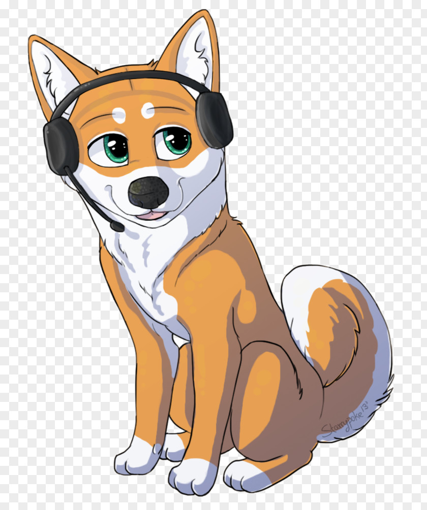 Puppy Shiba Inu Norwegian Lundehund Red Fox Whiskers PNG