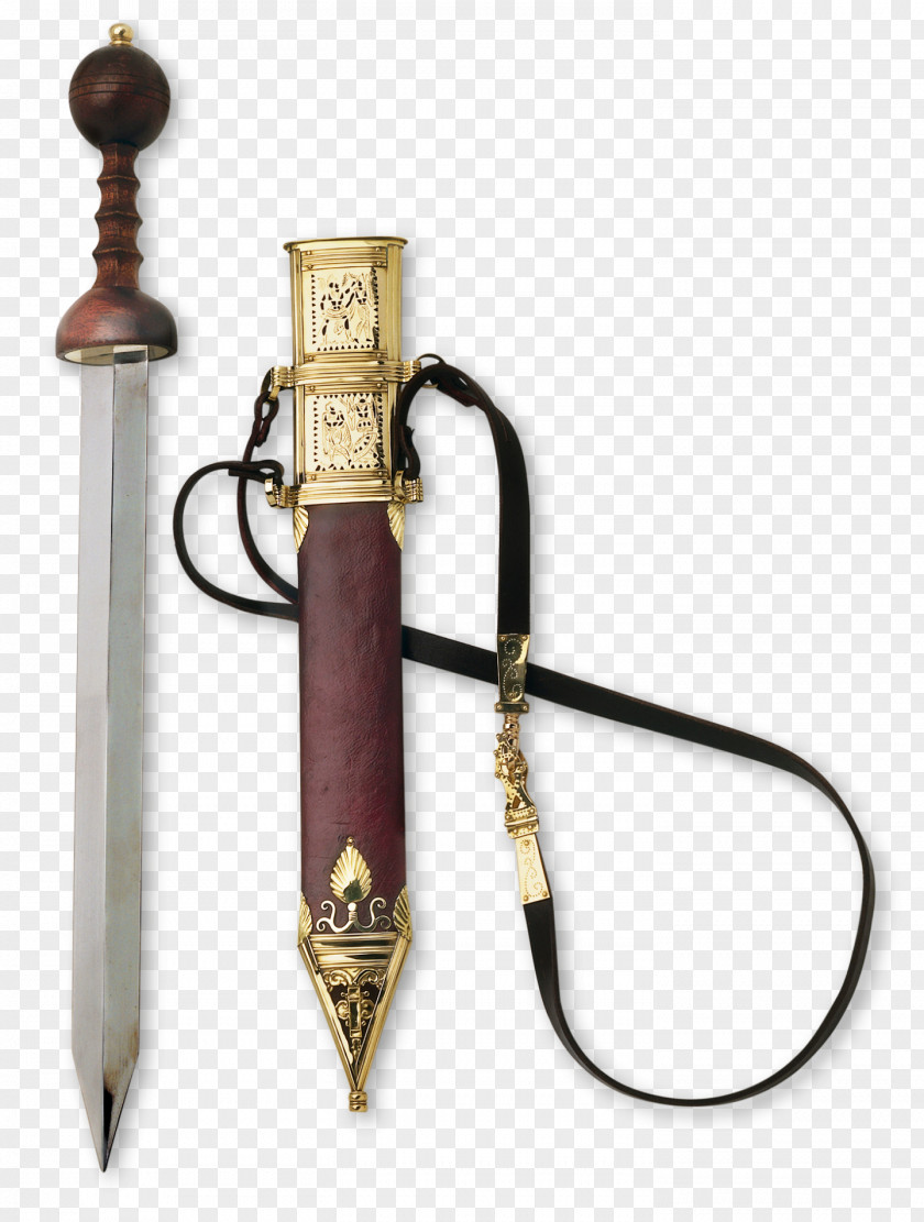 Swords Ancient Rome Weapon Roman Military Personal Equipment Gladius Army PNG