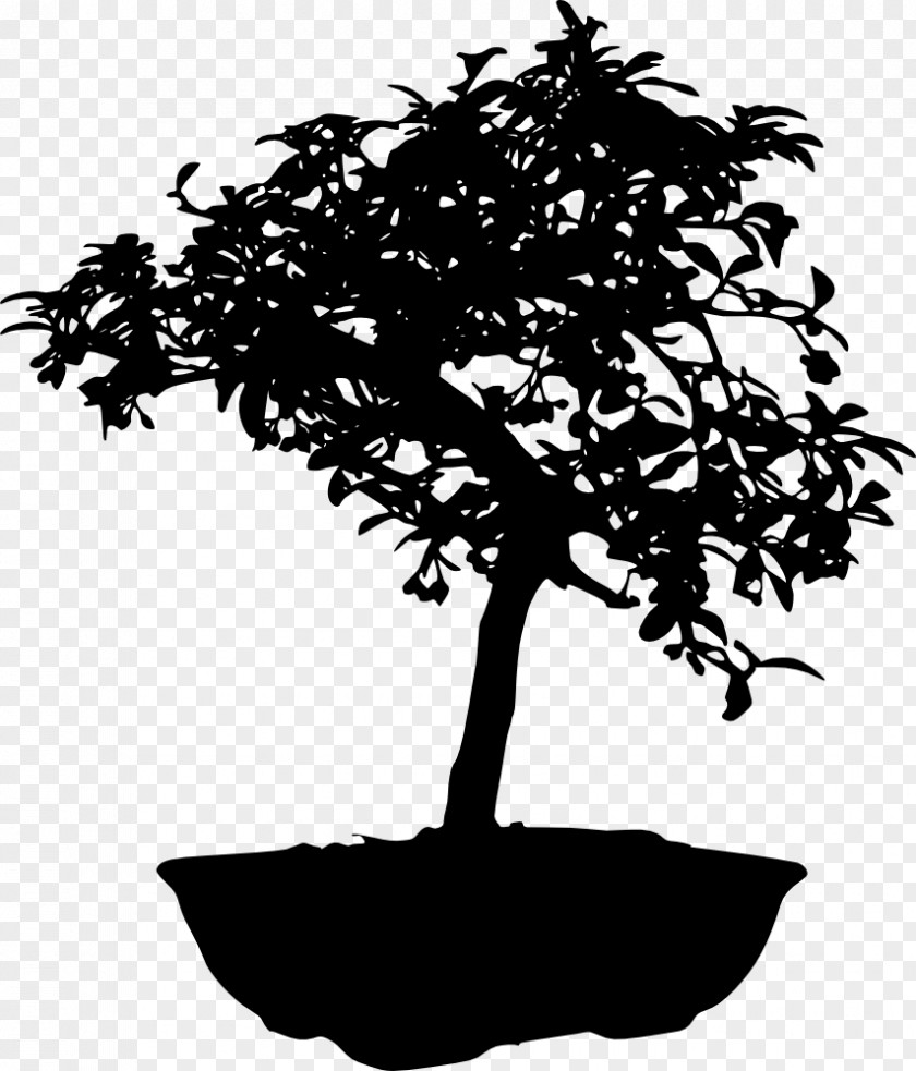 Bonsai Silhouette Tree PNG