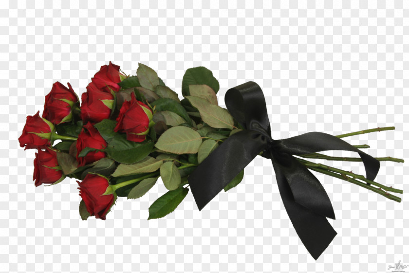 гвоздика Flower Bouquet Garden Roses Russia Mourning PNG