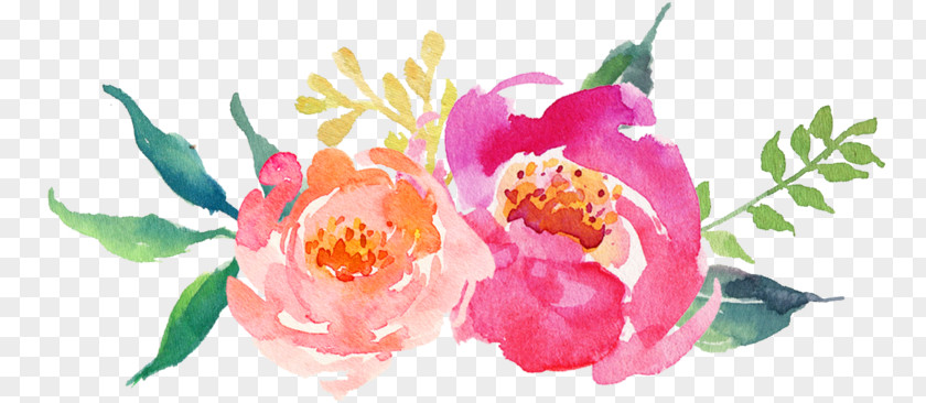 Lent Clip Art Download Watercolor Painting Peony PNG
