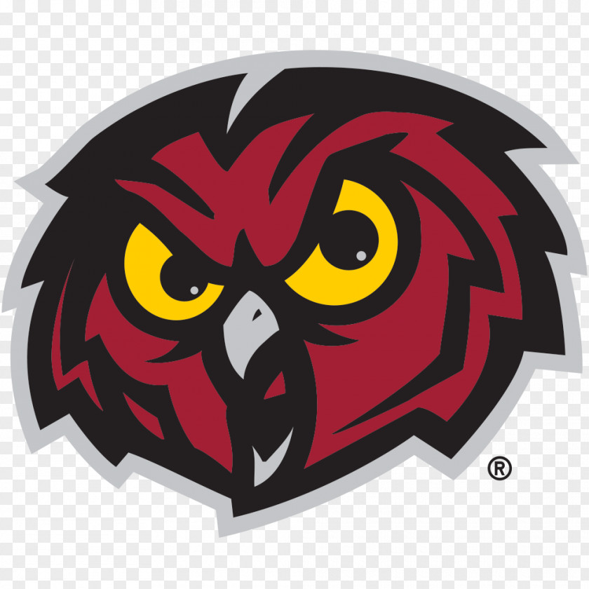 Owl Temple Owls Football Women's Basketball Men's Soccer PNG