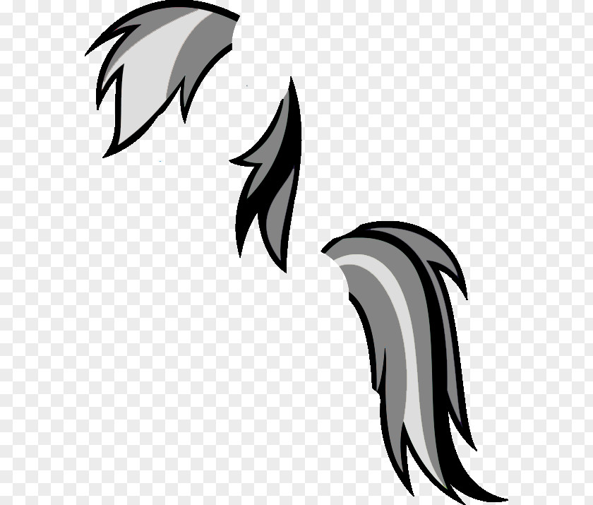 Rainbow Hair Dash My Little Pony Horse PNG