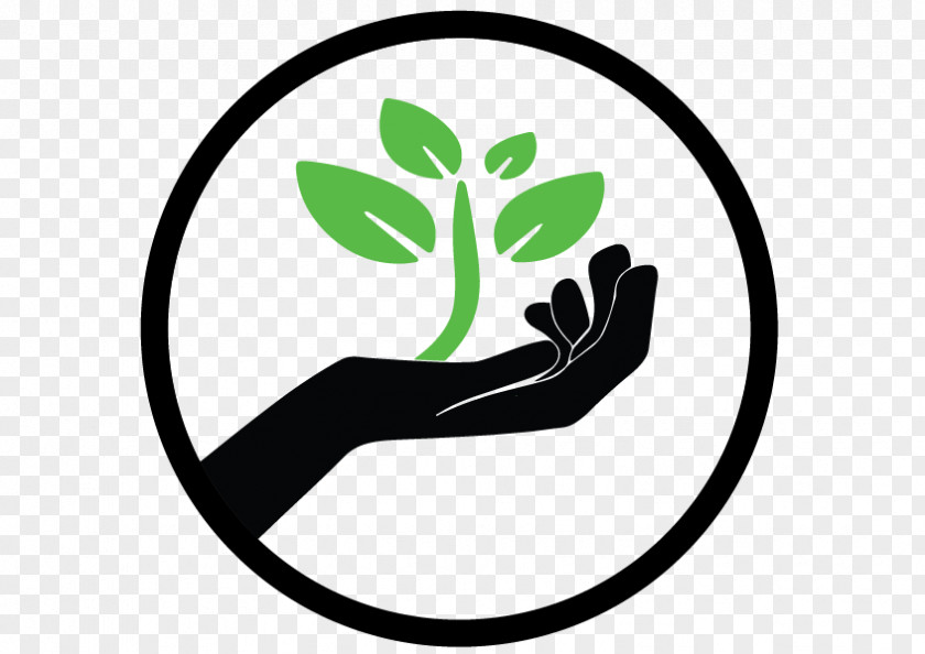 Seeds Plant The Seed Education Organization Logo PNG