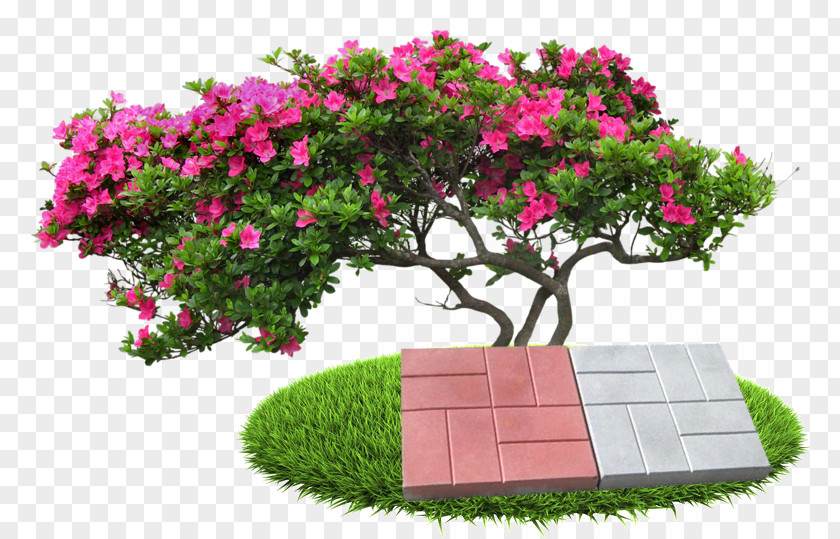 Tree Shrub Topiary PNG