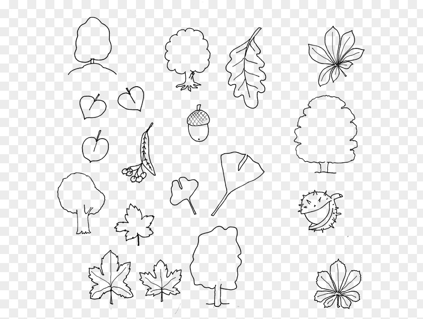 Ginkgo Tree Drawing Autumn Coloring Book Line Art PNG