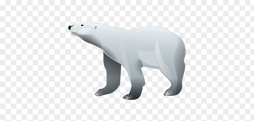 Polar Bear PNG bear clipart PNG