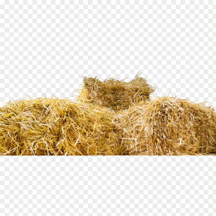 Straw-bale Construction Hay Baler PNG