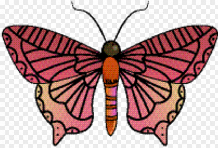 Animal Figure Emperor Moths Tiger Cartoon PNG