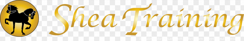 Header Navigation Logo Desktop Wallpaper Font PNG
