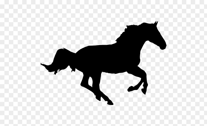 Horse Race Andalusian Clip Art PNG