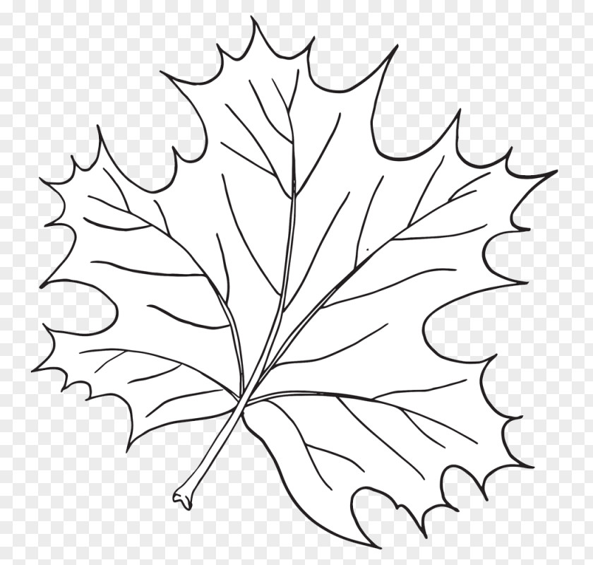Leaf Clip Art Plants Twig Biology Clipart PNG