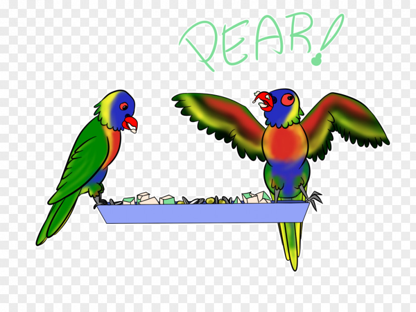 Lorikeets Artist Digital Art Lovebird DeviantArt PNG