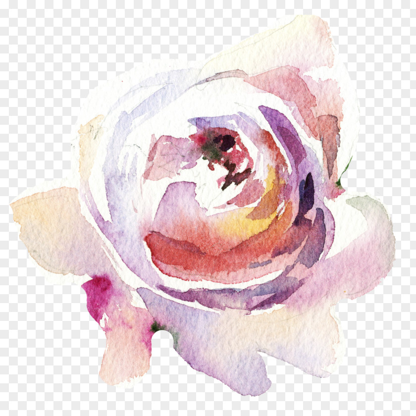 Painted Flower Pattern Garden Roses PNG