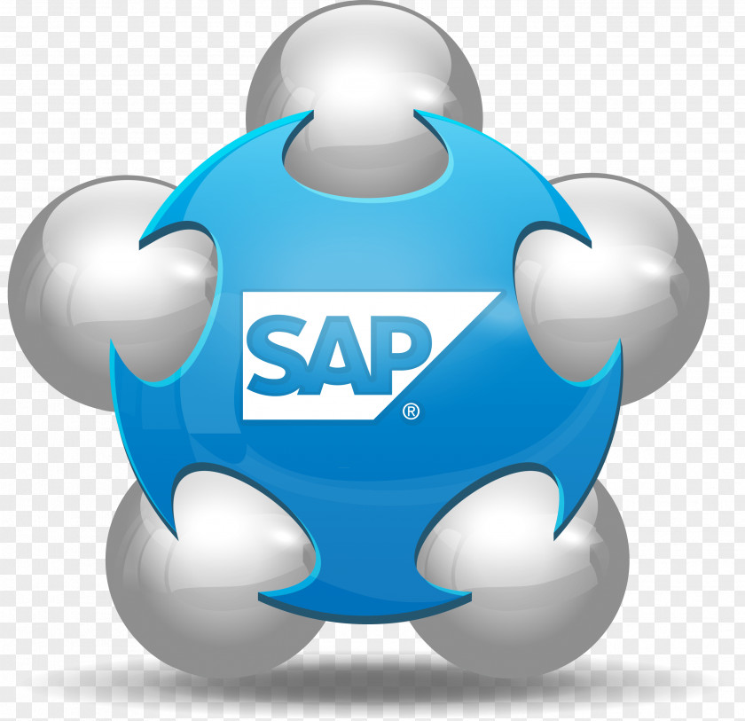 Software SAP SE Enterprise Resource Planning Business Process Management PNG