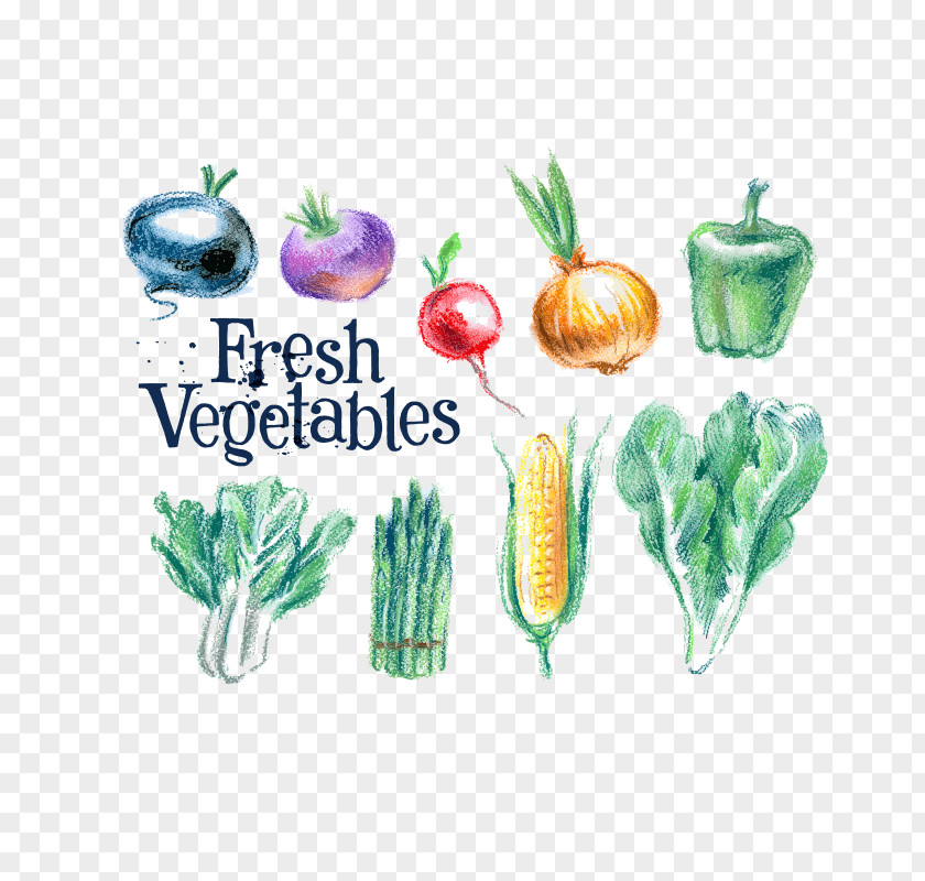Vegetable Food Material Free Vector Vegetarian Cuisine Fruit PNG